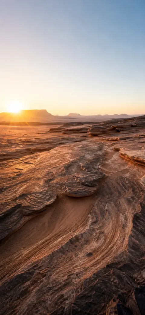 Scorpio nature live wallpaper