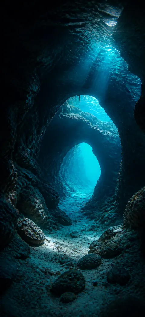 Underwater live wallpaper 12 — free 4K for iPhone