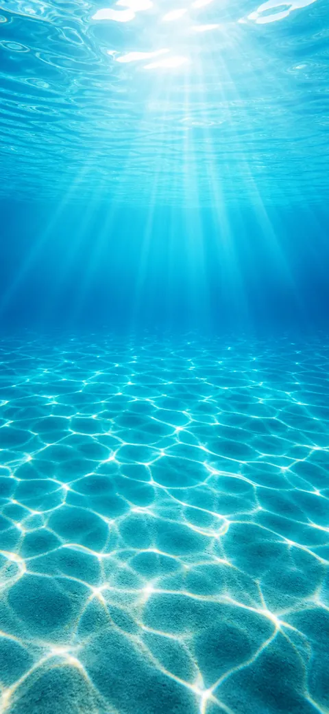 Underwater Wallpapers — iPhone 16 Plus 4K live wallpapers for iPhone and Android.