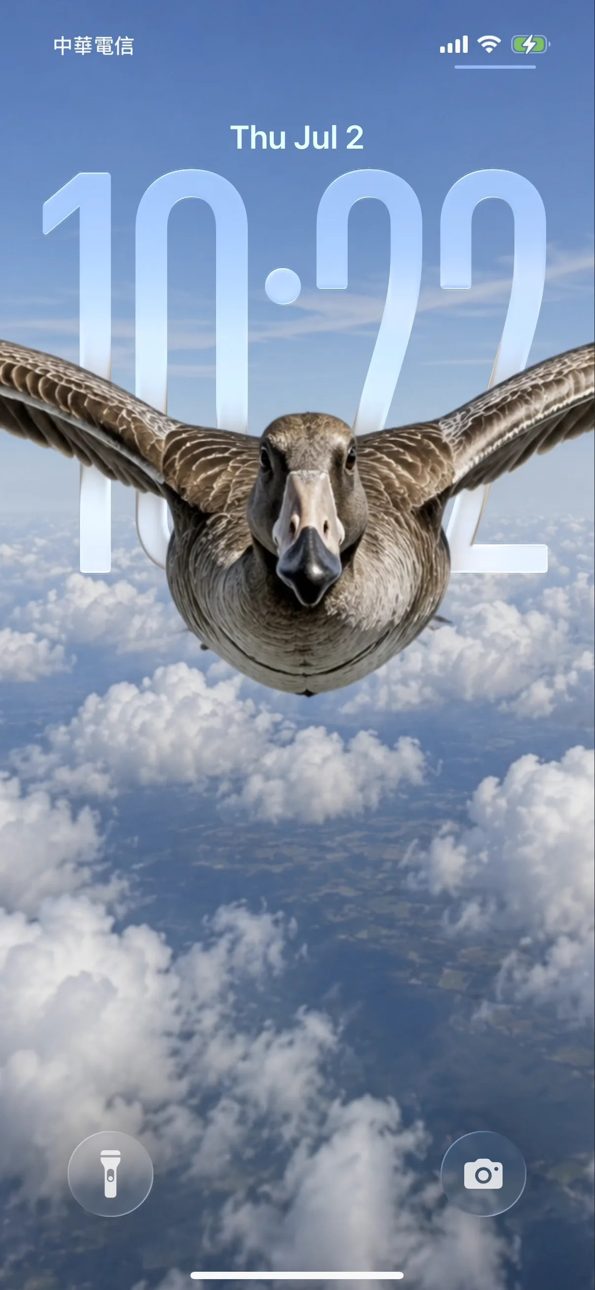 Wild Goose — depth-effect wallpaper for iPhone 17 Pro